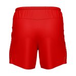 Sports Shorts - Image 2