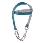 Head Harness