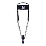 Head Harness